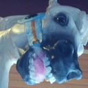 gavan dwight house - @deadwitchdoctor - Twitter