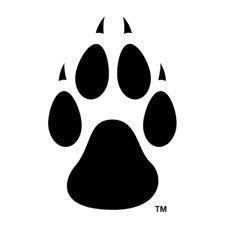 NRomer1's profile picture. 