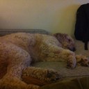 Brian Larson - @sonoflar - Twitter