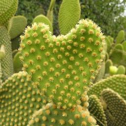 lolamooras's profile picture. You're enterily bonkers, totally mad. But I'll tell you a secret. All the best people are.