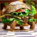 Annie Gates - @AnnieGates15 - Twitter