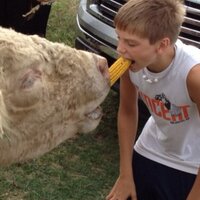 Steve Hasche (@greazysteve) 's Twitter Profile