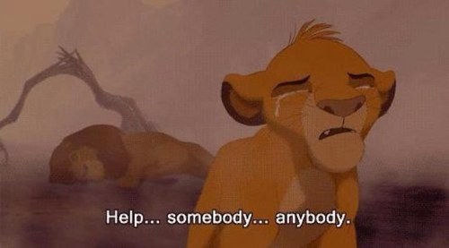 MinVenTHN's profile picture. Anon