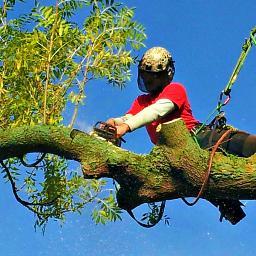 Director of Jenks Wokingham, experts in arboriculture.  Fun to be around, Christian, beautiful wife, love life and enjoy the challenge making a difference.