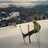 adventur406's profile image