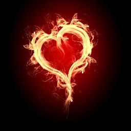 Escape artist, cat lady, and hopeless romantic. Author of hotness and happy endings.