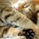 Walter Sargent - @SargentWeb - Twitter