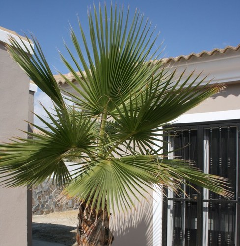 villaelparadiso's profile picture. Luxe vakantievilla 'Villa El Paradiso' Andalusië-Almeria met privé zwembad.