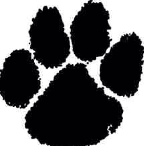 8th grade Math teacher. Batavia athletics coach. 