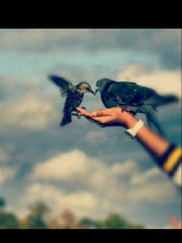 I’m a simple person who hides a thousand feelings behind the happiest #smile.(اللهم لاتقبض روحي الا وانت راضِ عنها)
