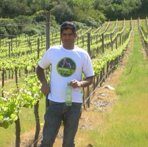 Tec.Sup. Viticultura Apalta-Chile,la mejor gente,los mejores Vinos.