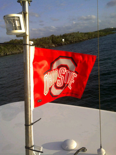 DemosBrian's profile picture. 