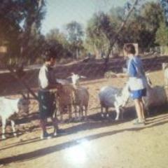 EdwardFoster101's profile picture. Our health always seems much more valuable after we lose it.