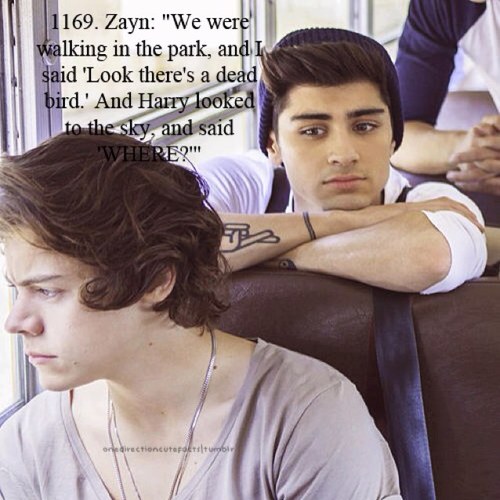 springishere11's profile picture. Hey, Im Kaitlynn, but you can call me anytime. Just kidding. You can call me Banana. Im from Ireland. I am half Irish and half British. Now go away! Please!