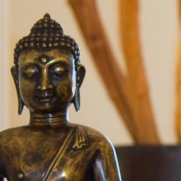 eriksinger's profile picture. 