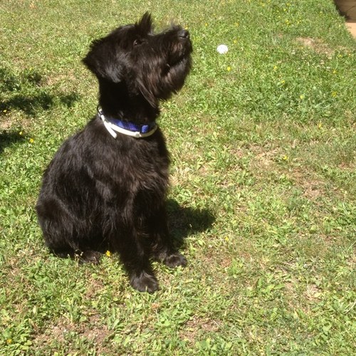 ToniortegaMa's profile picture. 