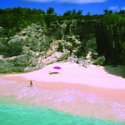 Reggae in Paradise  Bermuda July 4th & 5th 2014 ...All Inclusive WeekEnd.. Festival