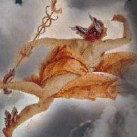 Sinclar (@sinclar34) 's Twitter Profile Photo