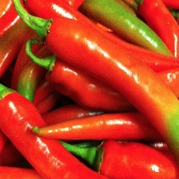 kitkerfuffle's profile picture. 