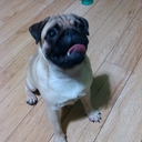 Joel Dizon - @joeldkermit - Twitter