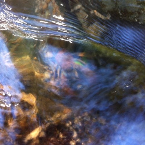 ColossalGolfer's profile picture. Lover of art music philosophy wildlife landscapes sustainable clean tech business outdoors with nature and wine. Ahead of Now ©2020