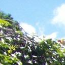 DAISY ARZU - @504arzu - Twitter