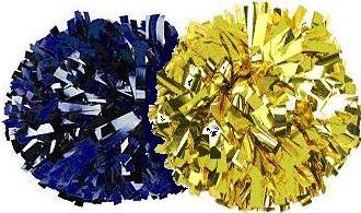 BTCheerleading's profile picture. Official Twitter page for Brownell-Talbot Cheerleading.