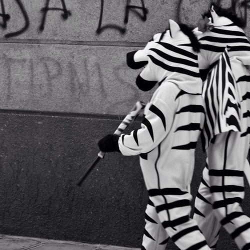 HeyBipolar's profile picture. Soy Bipolar de nacimiento, me asustan los payasos, y no me se las tablas de multiplicar