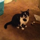 tammy edgar - @CRIMINALMINDS45 - Twitter