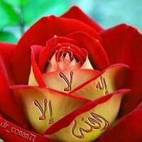 الجوريه (@toomi2009) Twitter profile photo