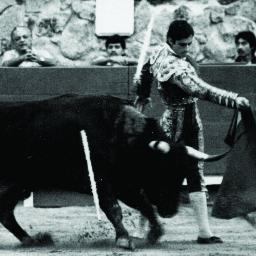 SaulAcevedoM's profile picture. 