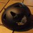 T3_13's profile image