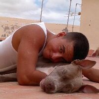 Dave ruiz (@davedurante) 's Twitter Profile