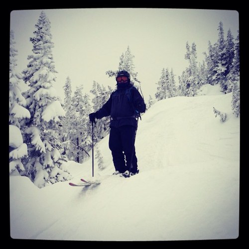 TheForse's profile picture. 