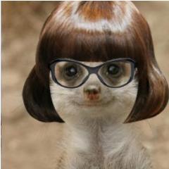 yesdorgas's profile picture. eu msm obg