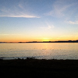 MariaMiddlemiss's profile picture. 