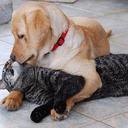 Carson Collins - @wormattack25 - Twitter