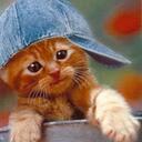 Becky Doyle - @BeckB52 - Twitter