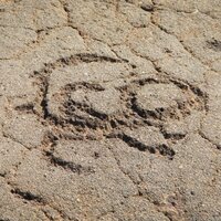 Jeffrey Maziarski (@cocoamowco) 's Twitter Profile