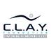 C.L.A.Y. Foundation (@theclayfndn) Twitter profile photo