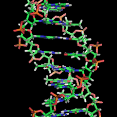 CSH Profile