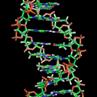 CSH (@cshlaboratory) 's Twitter Profile Photo CSH (@cshlaboratory) 's Twitter Profile Photo
