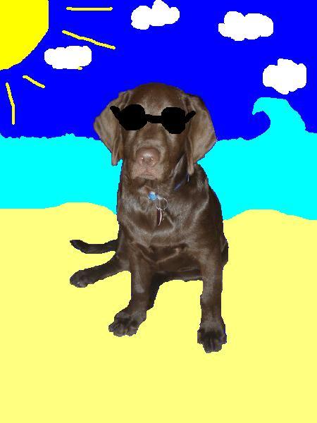 LuigiChocoLab's profile picture. choco lab with yello eyes. single