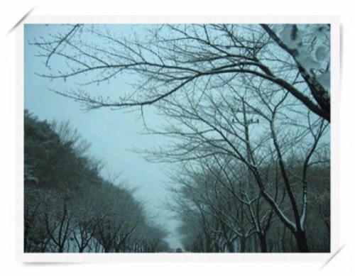 이 땅의 아이들을 보호해 주세요  
http://t.co/hLE79L1Q

 반FTA   후쿠시마 방사능 일본 모든 제품 수입 반대  정의의 물결 넘치는곳. 그리운노무현
