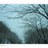 morning_20's profile image