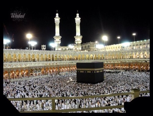استاذ العقيدة والمذاهب المعاصرة بكلية الشريعة والقانون @umajmaah عضو @Albaydha