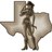 TexasMom
