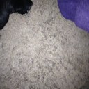 Lee Andersen - @MissAndersen85 - Twitter