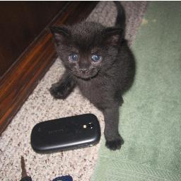 kimishappy's profile picture. 