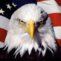 pride (@mmaginnis5) 's Twitter Profile